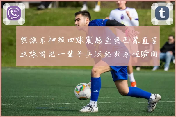 樊振东神级回球震撼全场西蒙直言这球将记一辈子乒坛经典永恒瞬间