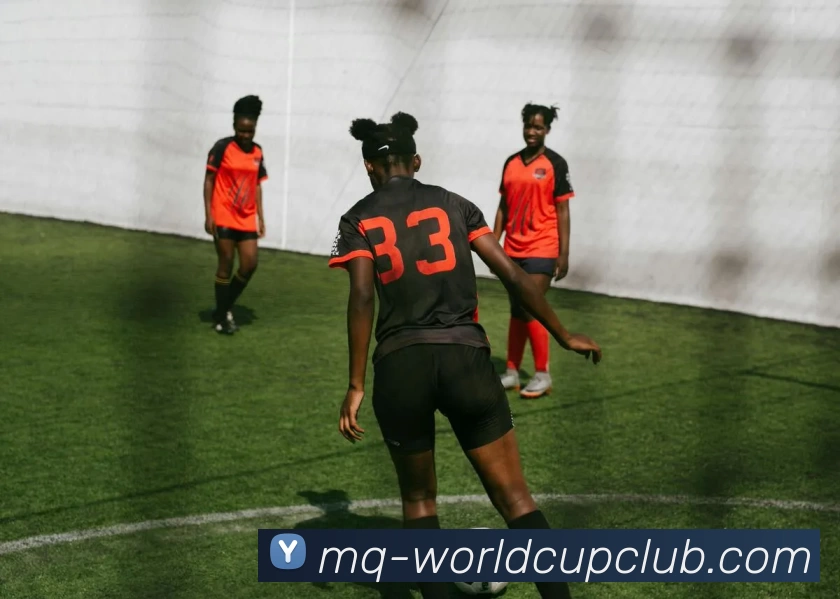 多媒体互动体验