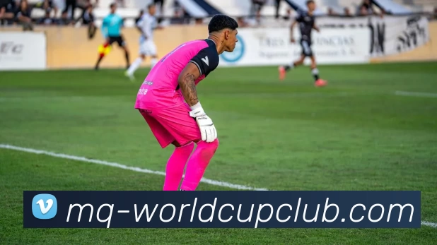 世俱杯体育投注APP 体育赛事宣传图